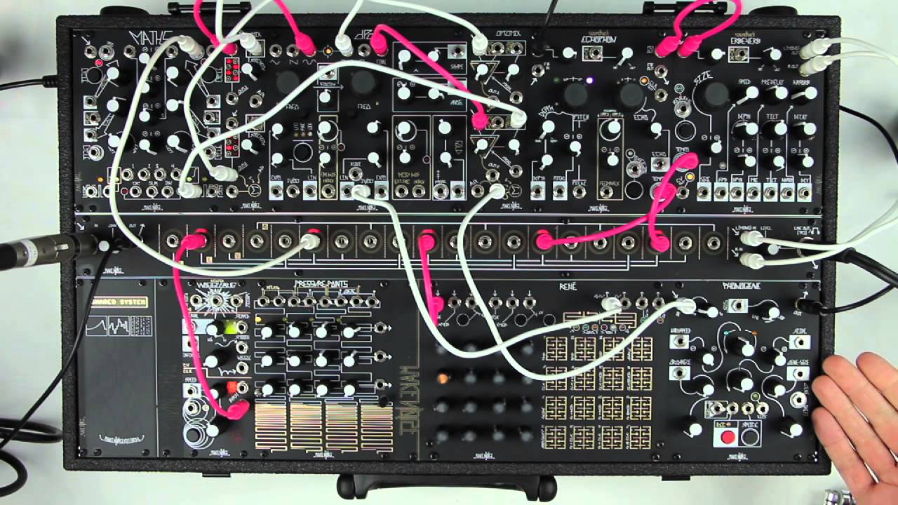 Make Noise Shared System: Black and Gold, Plus