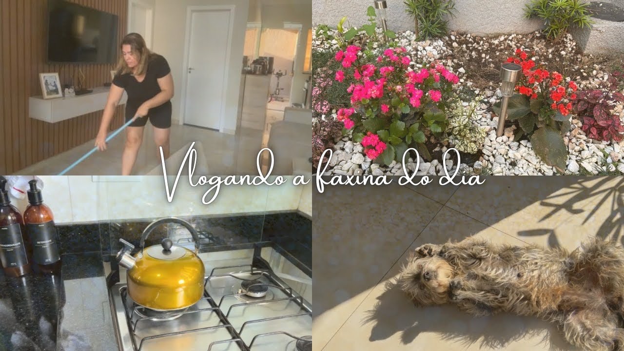 FAXINA DO DIA ! - LAVANDO O QUINTAL + LIMPEZA BÁSICA DA CASA