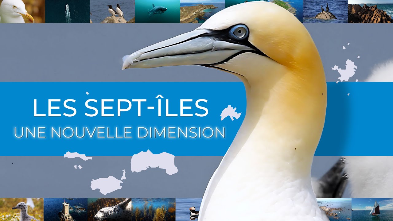 Archipel des Sept-Îles : Extension de la Réserve naturelle en 2023