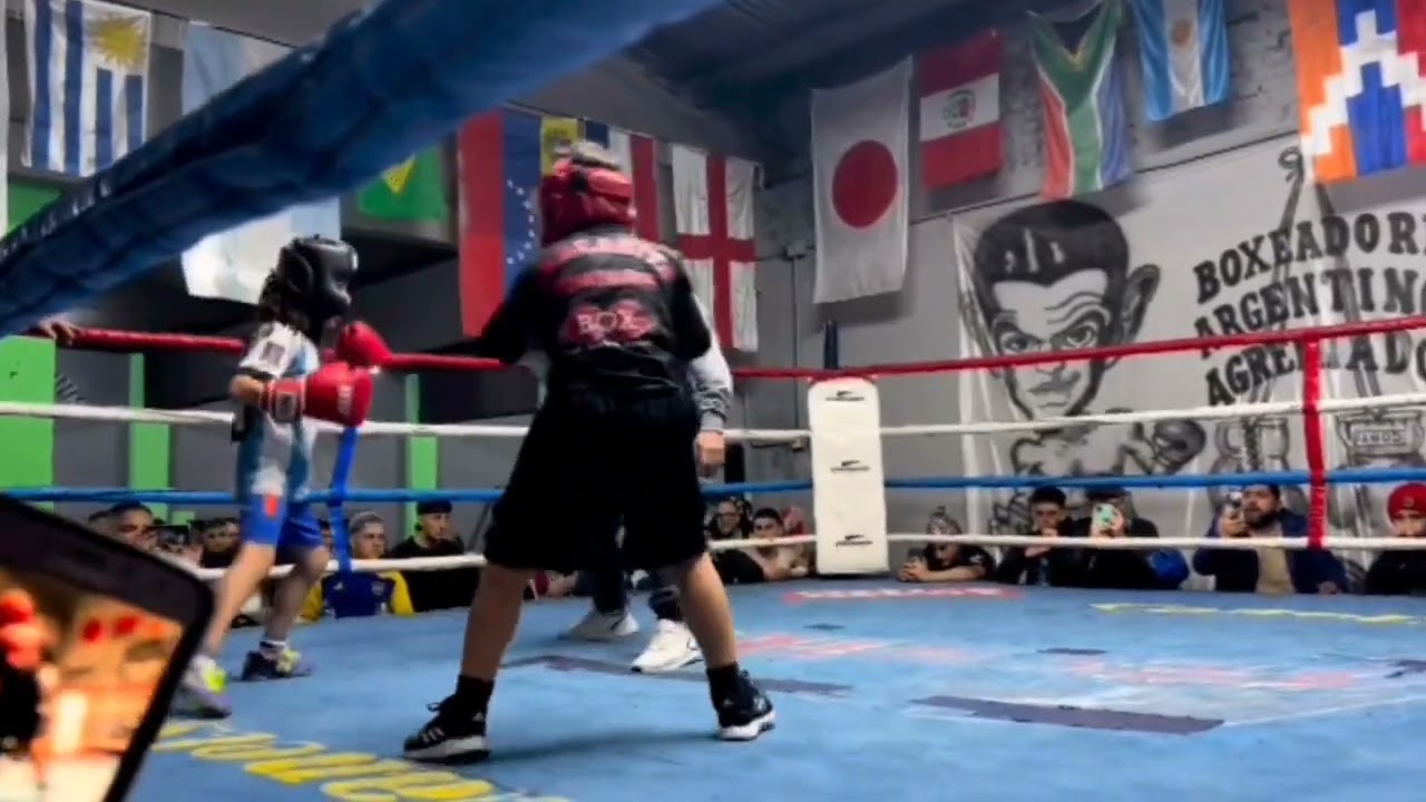 el b&ugrave;ho ciro exhibition fight | Boxing