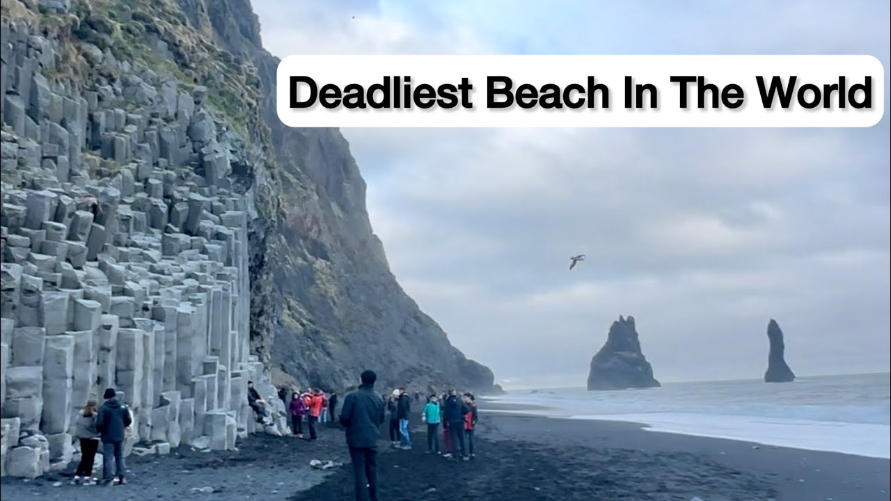 Most dangerous beach in the world | Iceland Travel | Sneaker waves | Reynisfjara Beach | Black sand
