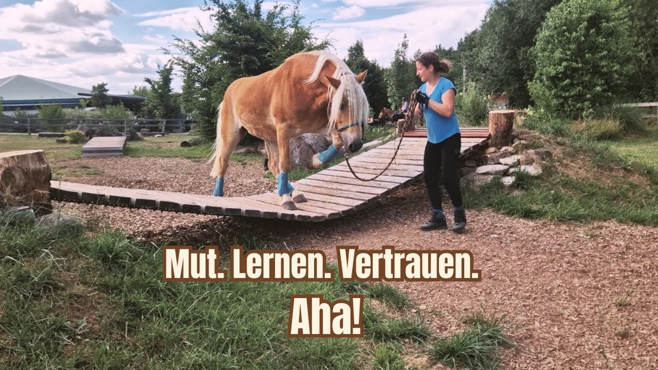 Extreme Trail mit Jungpferd – Vorbereitung fürs Wanderreiten