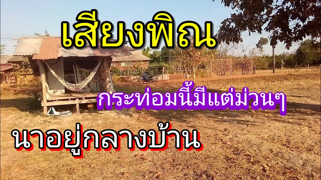 เสียงพิณ นาอยู่กลางบ้าน