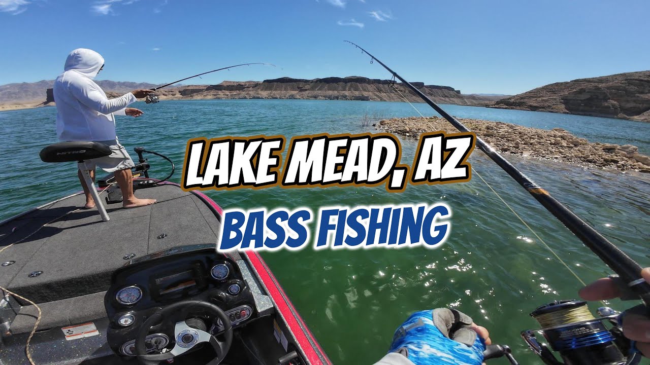 First time here and it was BRUTAL! (Lake Mead Bass Fishing)