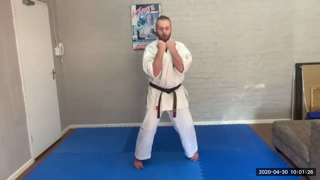 Hennie Bosman School of Karate | Beginners Zoom Class 30.04