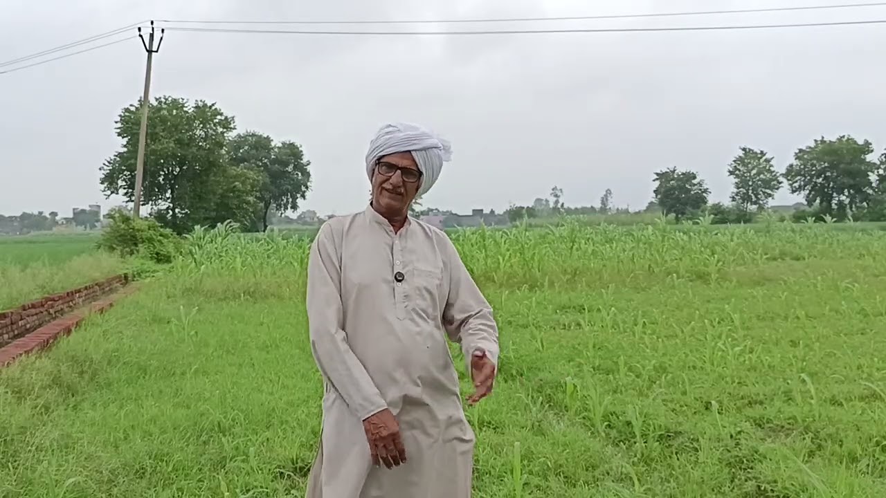 माँ बेटे को लेकर घर से भाग गई रह रहे हैं लिव इन मे हवस की भूखी ने कर दिया पवित्र रिश्ता बदनाम कलयुग 
