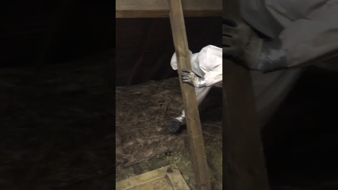 Rolling out loft insulation in the loft!