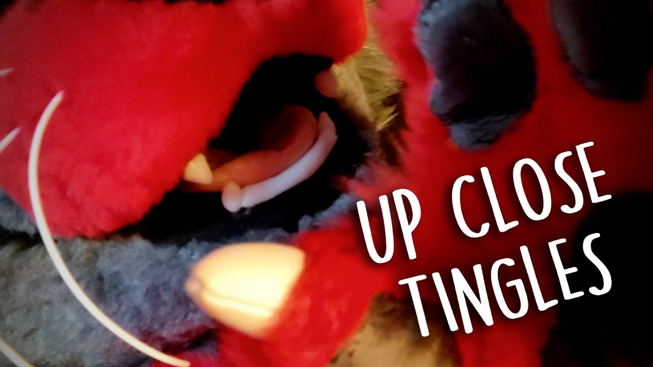 ASMR | Super Close Snuggles and Attention ❤️ Positive Affirmations, Boops, Petting, and More!