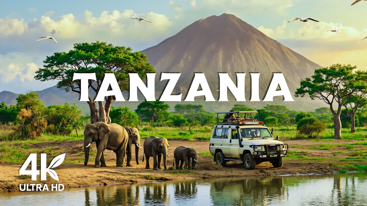 Tanzania 4K - Scenic Wildlife Film With Calming Music
