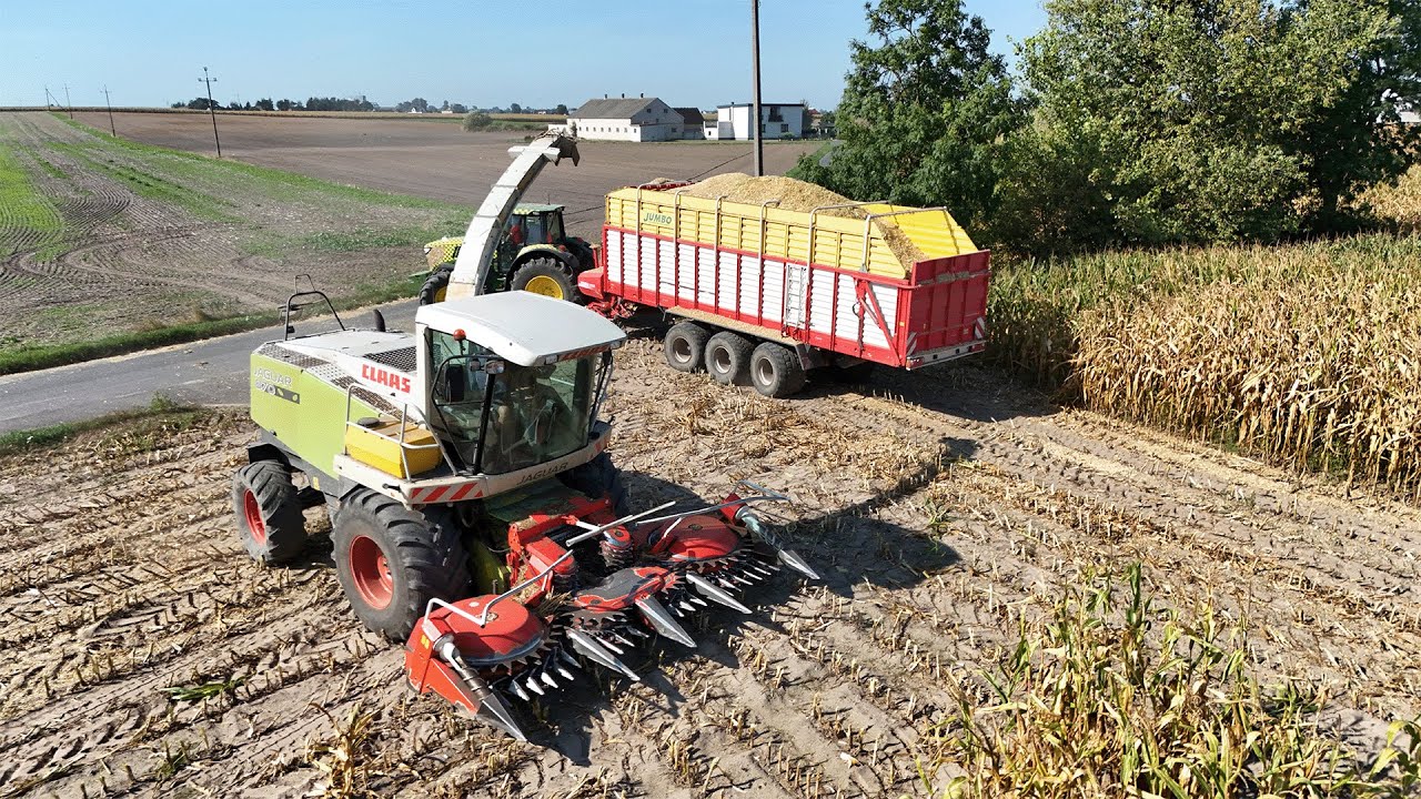 KUKURYDZA NA KISZONKĘ - SEZON 2024 ZAMKNIĘTY🌽🔥CLASS JAGUAR 870 W AKCJI
