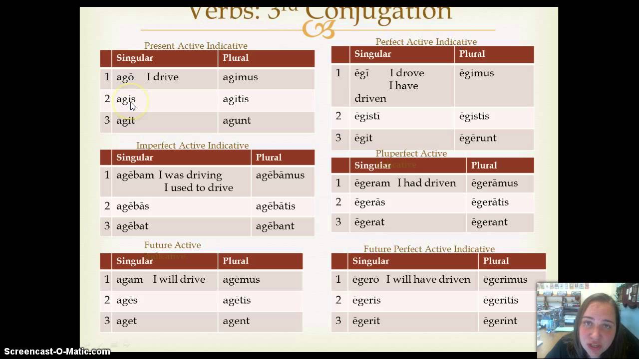 Review of Latin II: 3rd Conjugation Verbs