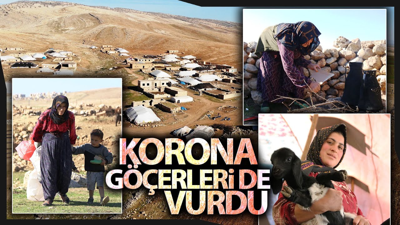 Göçerlerin Teknolojiden Uzak Zorlu Yaşamları