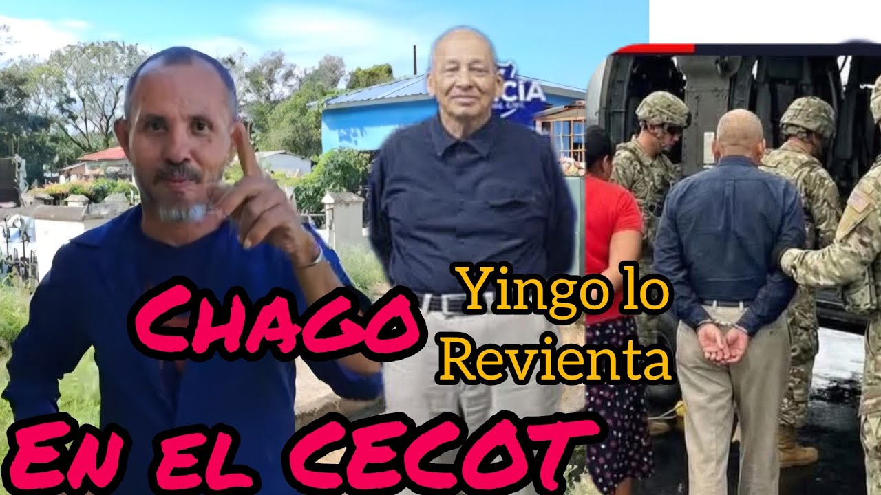#Yingo ENOJADO con #santiagozuniga LE DICE DE TODO 🫣