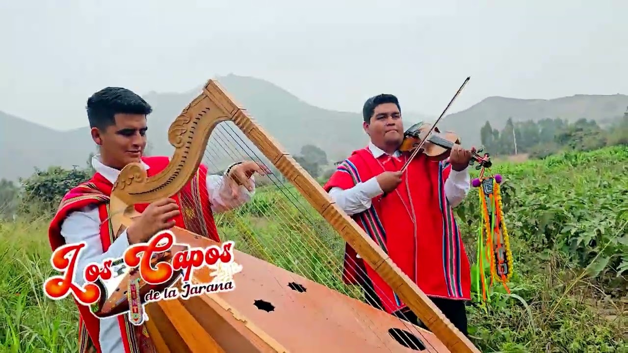 LOS CAPOS DE LA JARANA   TEMA: LA SIGO AMANDO