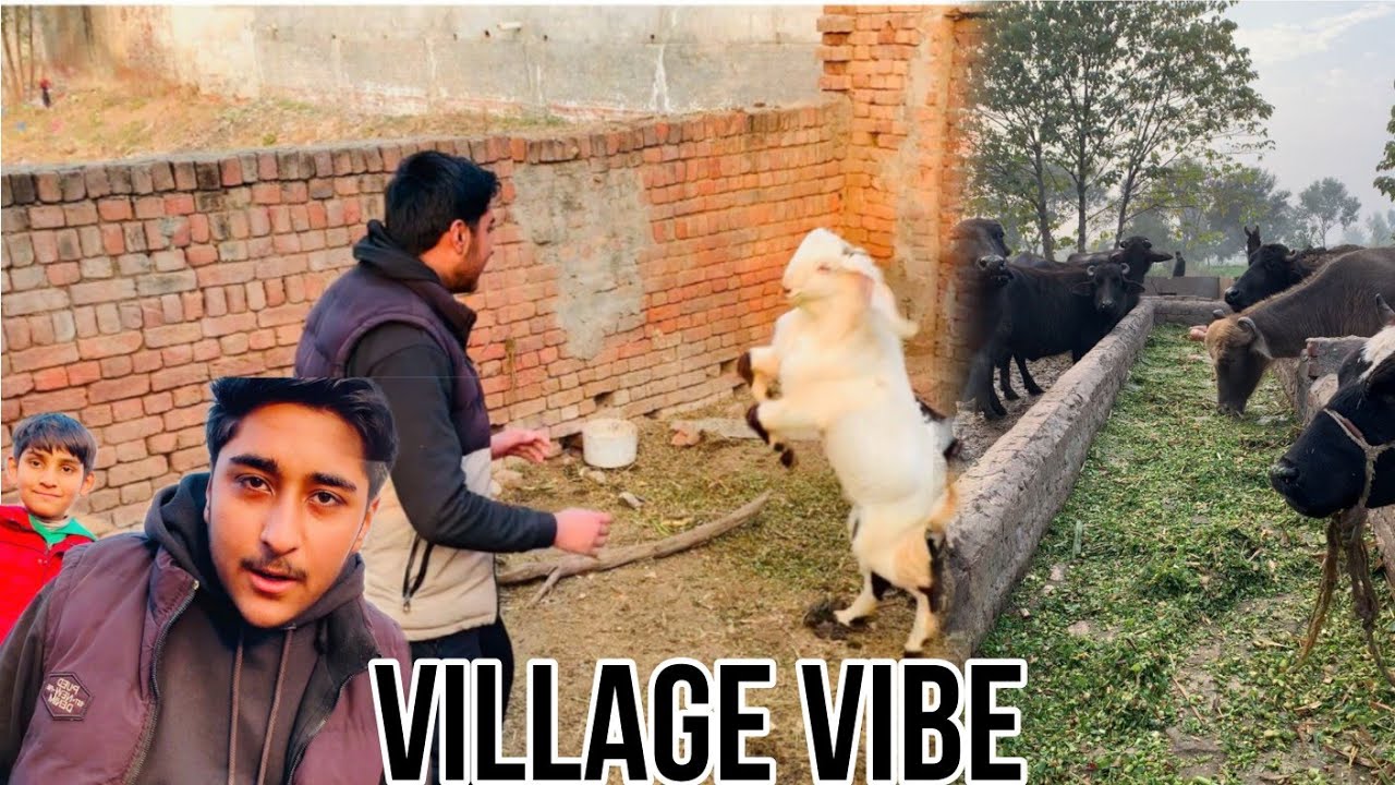 visiting my relatives village.