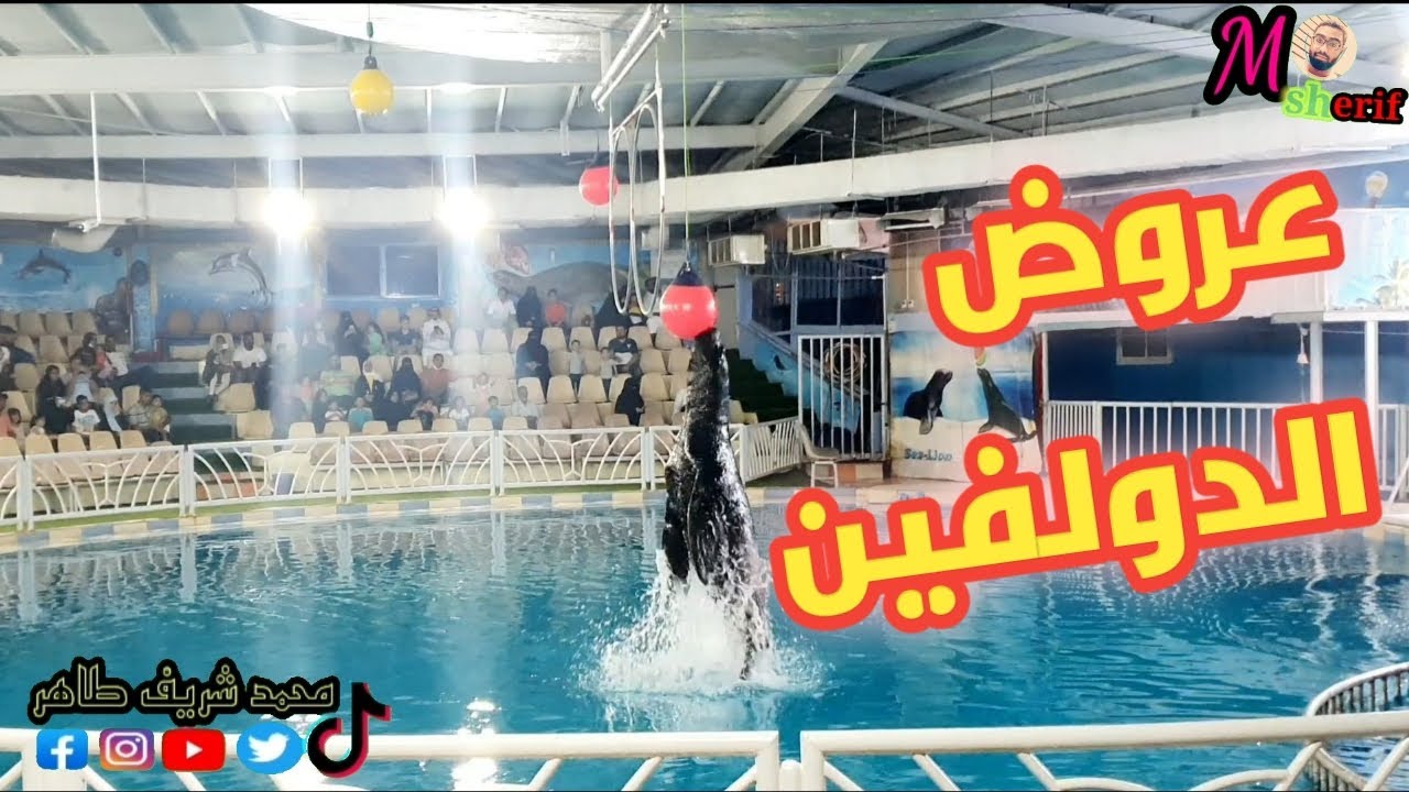 زرنا قرية الدولفين الترفيهية 😍