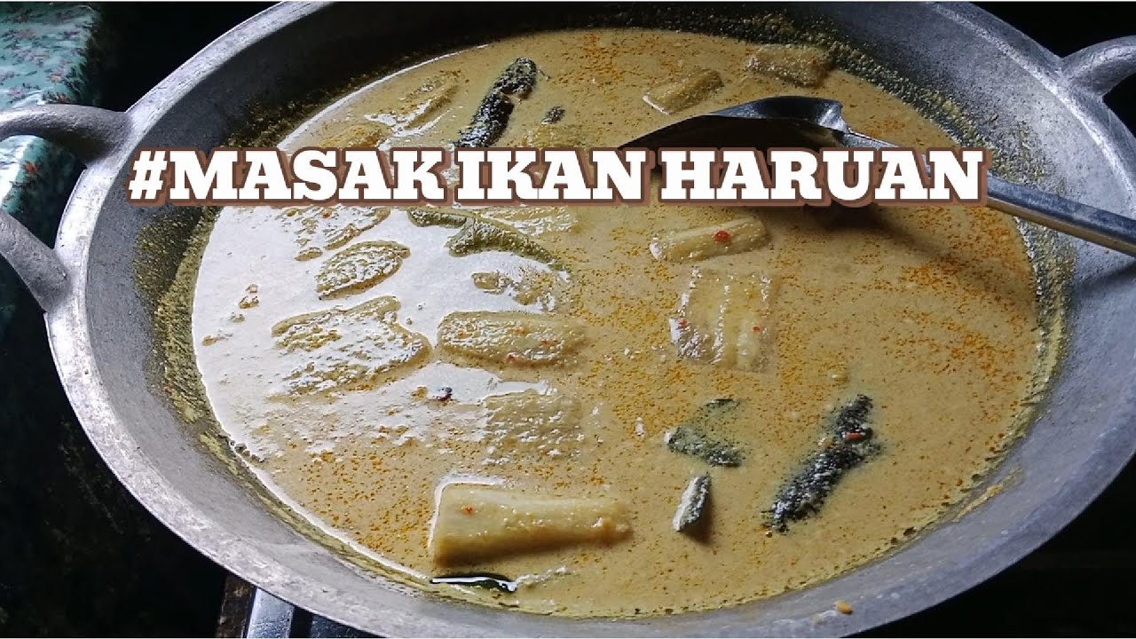 MASAKAN SEDERHANA || MASAK IKAN HARUAN/GABUS SANTAN