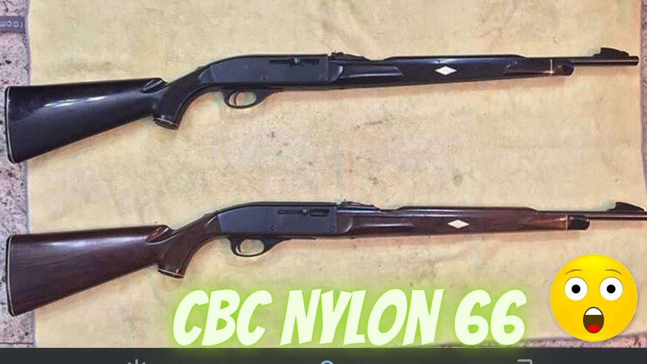 Review Rifle cbc Nylon 66 by remington cal.22