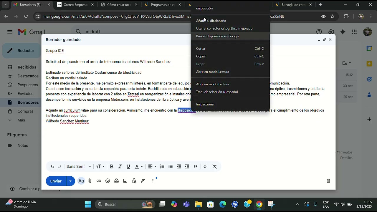 Correo Profesional
