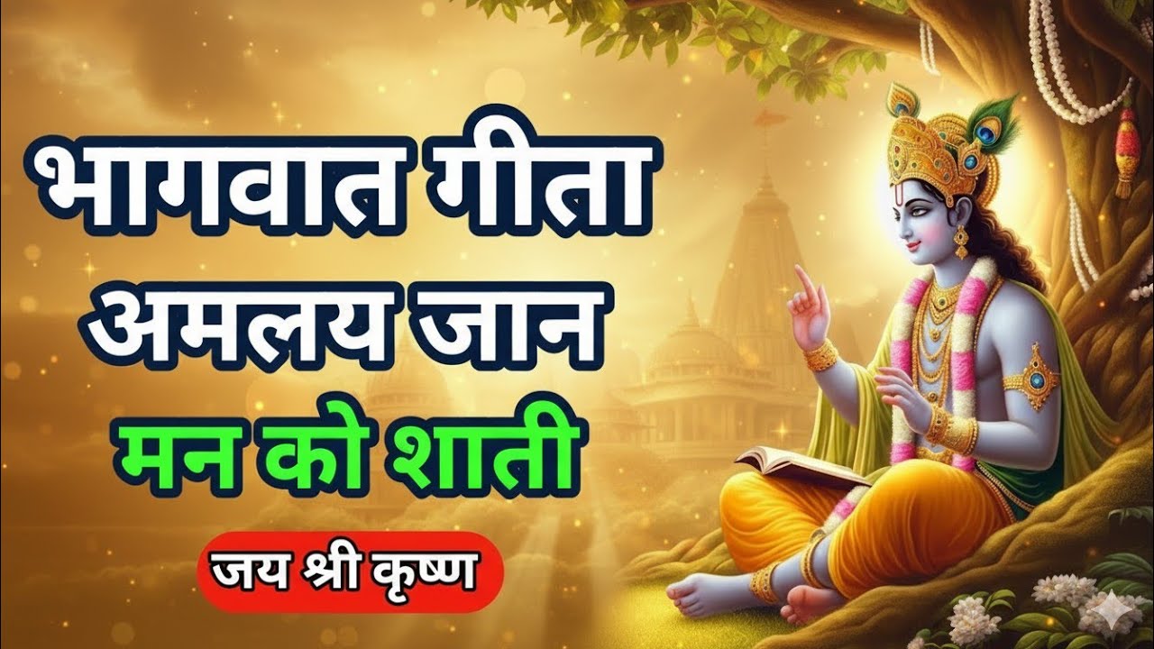 भागवत गीता सभी दुखों का अंतसिर्फ 20 मिनट मे ll Bhagwat Geeta Saar 20 minute | ShrimadBhagwat Gita |