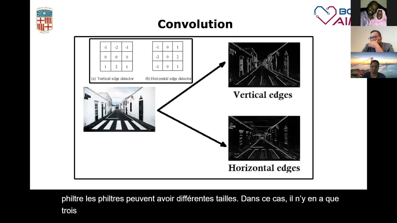 Carla Sendra, Generalizability of deep learning models in low-resource imaging settings