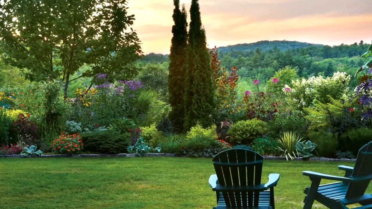 Tour a garden where annual and tropical plants steal the show | Garden Tour