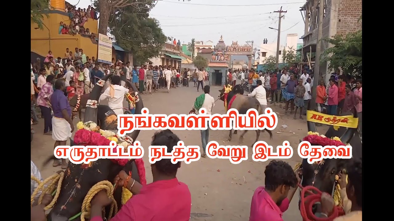 நங்கவள்ளியில்  தைப்பொங்கல் எருதாட்டம் நடத்த வேறு ஒரு இடம்  அமைத்து தர  பொதுமக்கள் கோரிக்கை