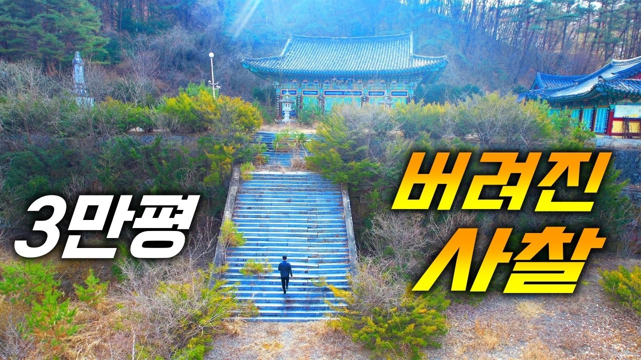 대자연 그대로 3만평! 버려진 사찰 / 계곡과 국유림이 둘러싸고 있는 숲속명당