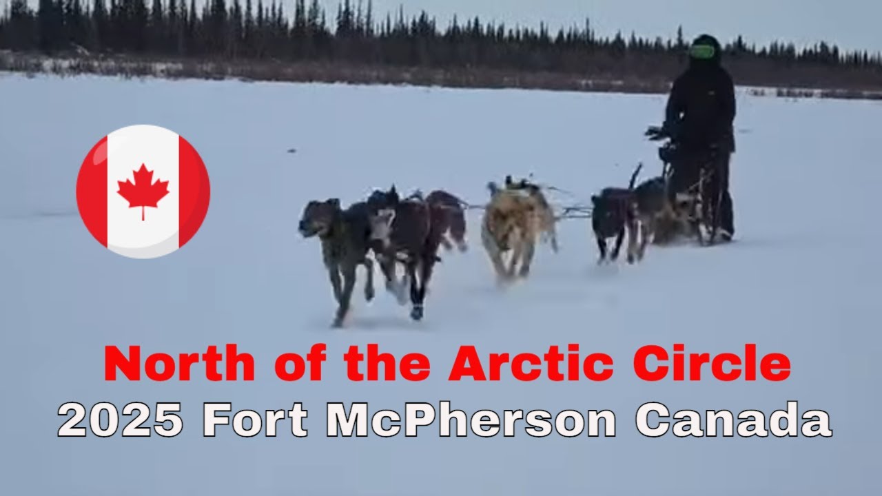 Ultimate Dog Sled Showdown in Canada's Arctic Frontier / Fort McPherson Northwest Territories Canada