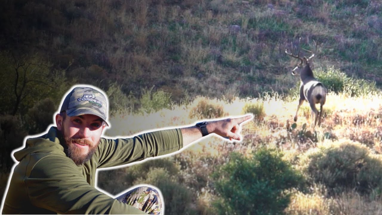 Chasing Arizona’s GIANT Muleys