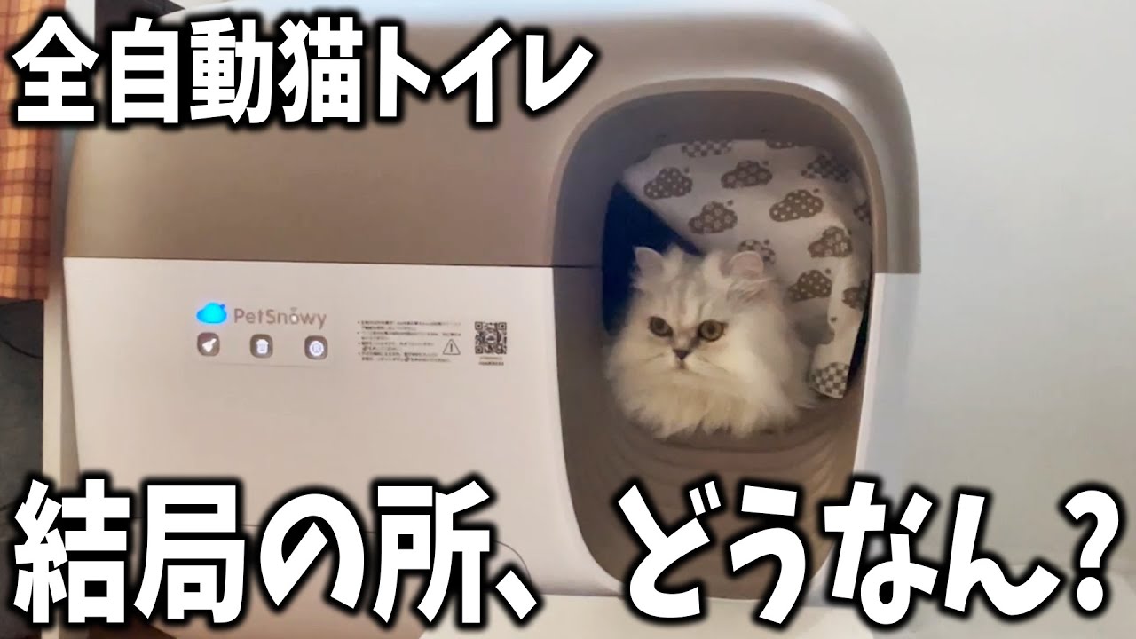 全自動スマート猫トイレって、結局どうなん？