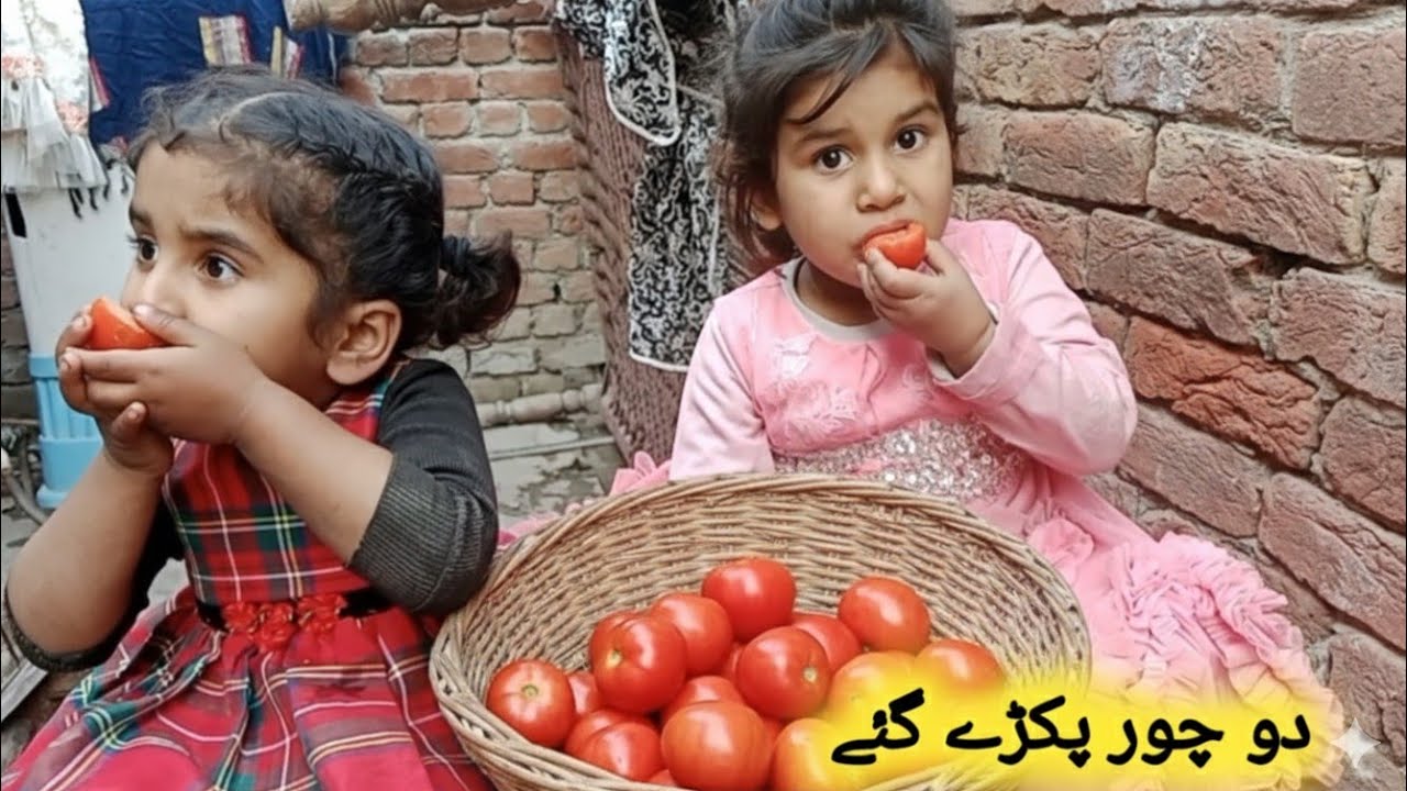 Matar khane wale chor pakde Gayell mausa family vlogll