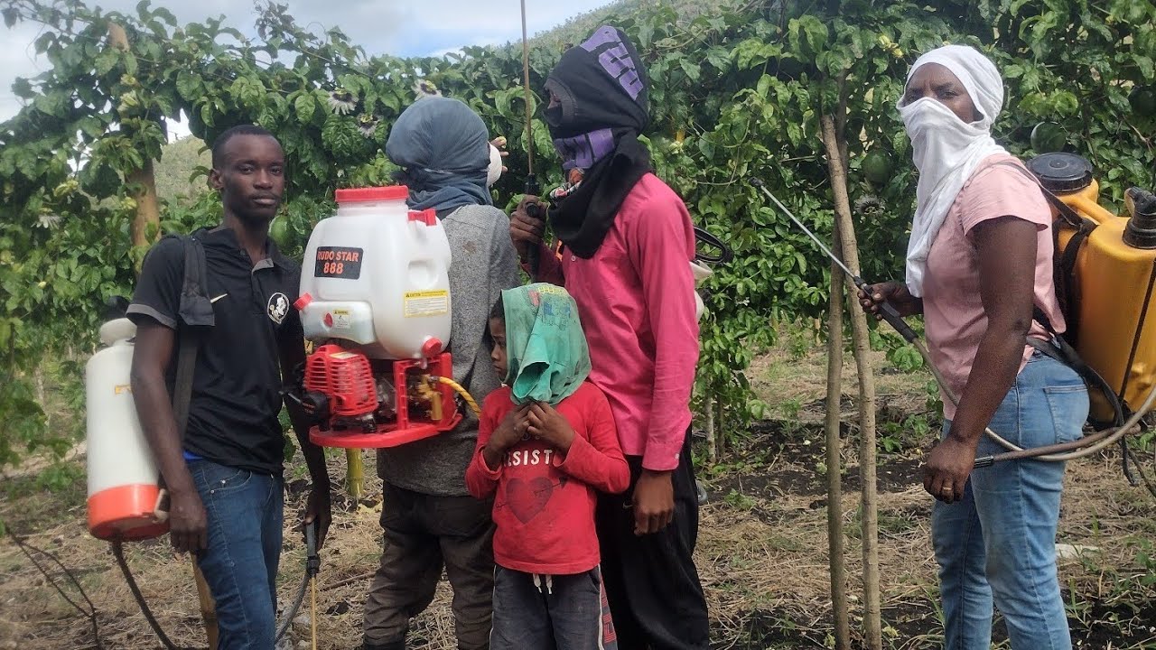 Vin aprann kôman pou aspèje plant ou Avek peyizan milyonè 
