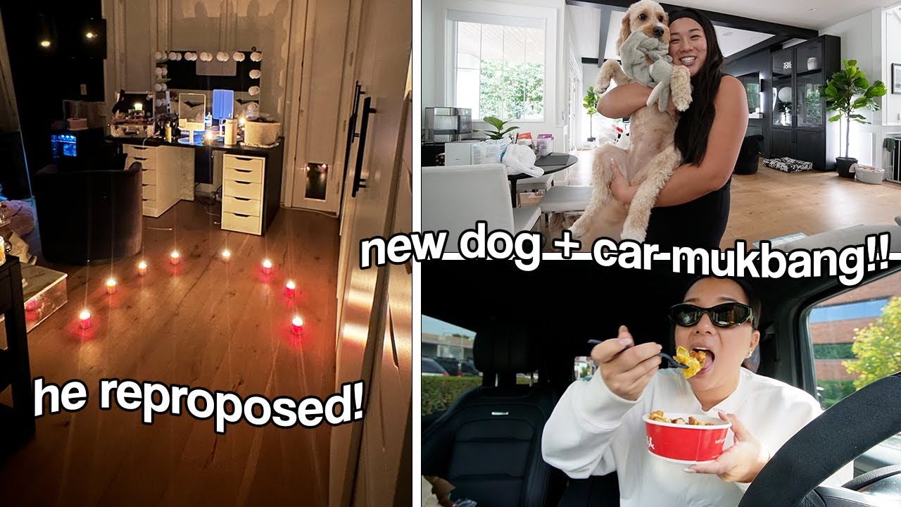 HE REPROPOSED!! car mukbang + new dog!!