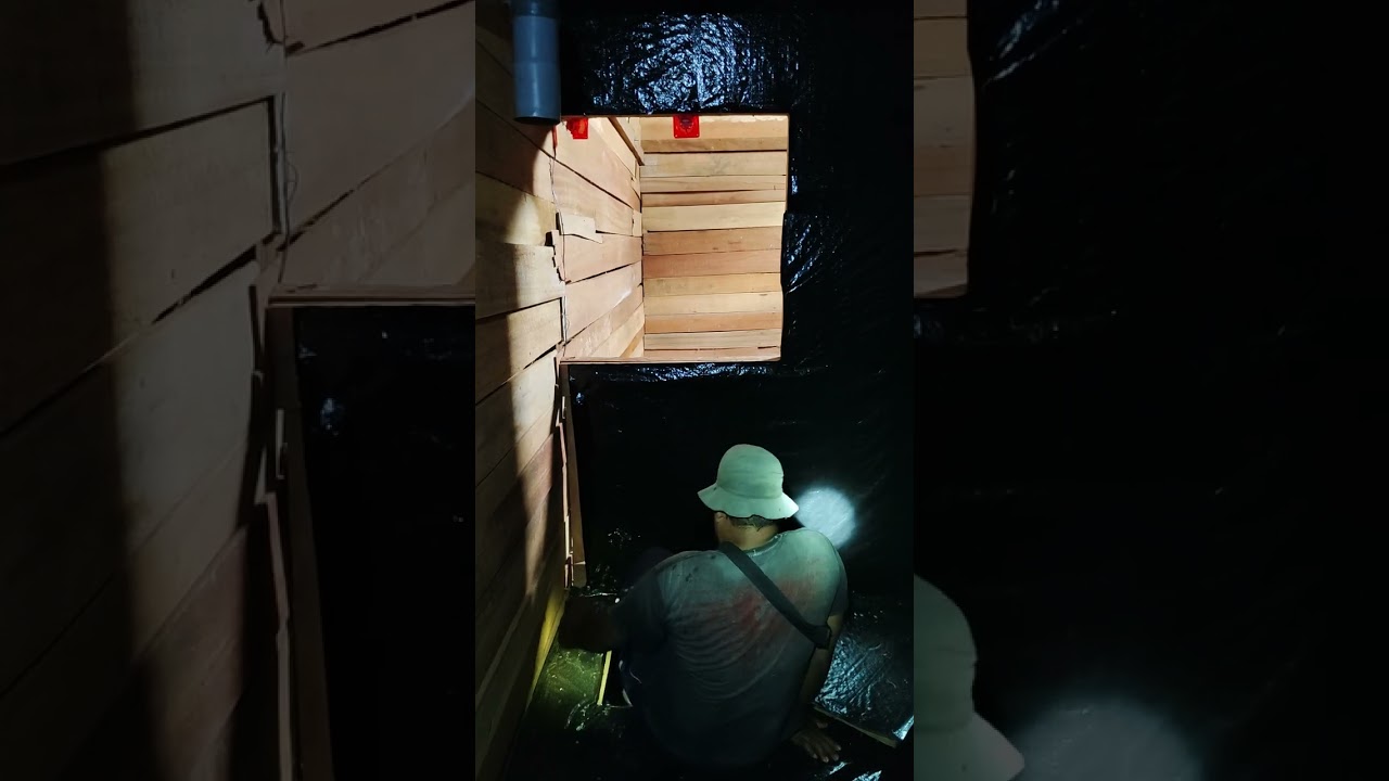 Cek gedung walet baru usia 2 bulan sejak On perdana, nampak kotoran inap merata di setiap lantainya