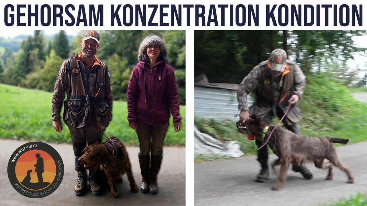 Die 3 Übungselemente für einen glücklichen Hund | Hundeschule U.B.