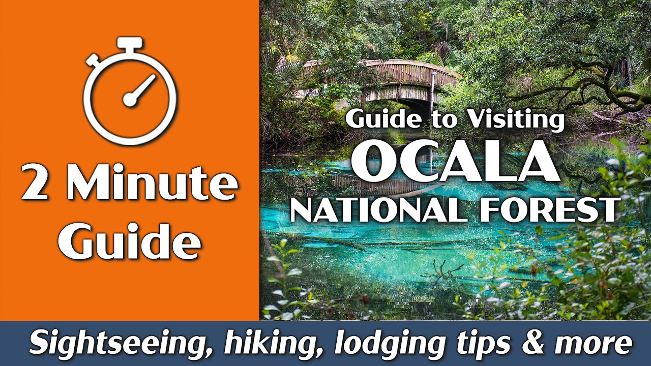 Ocala National Forest | Things to Do, Hiking, Camping | 2-Minute Guide