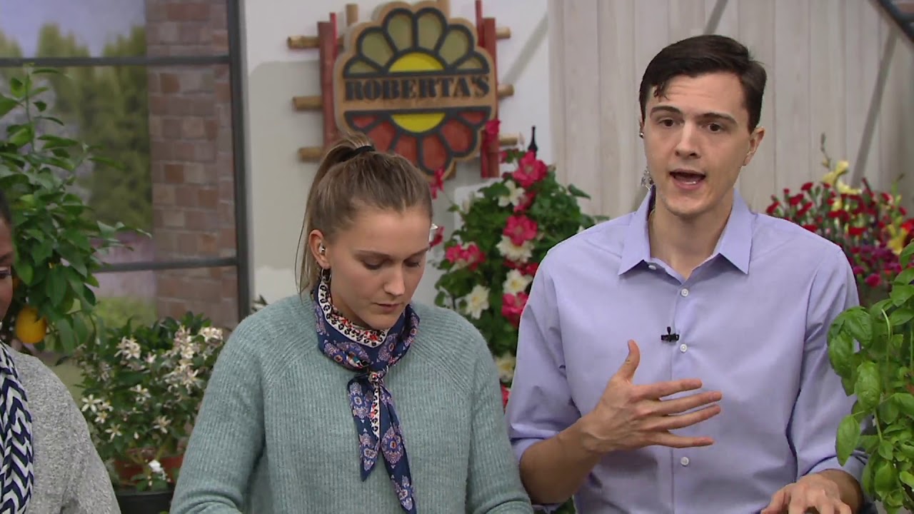 Roberta's 6-Piece Caprese Salad Patio Garden Collection on QVC