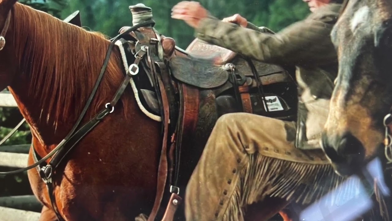 Yellowstone Saddles and other things I've noticed