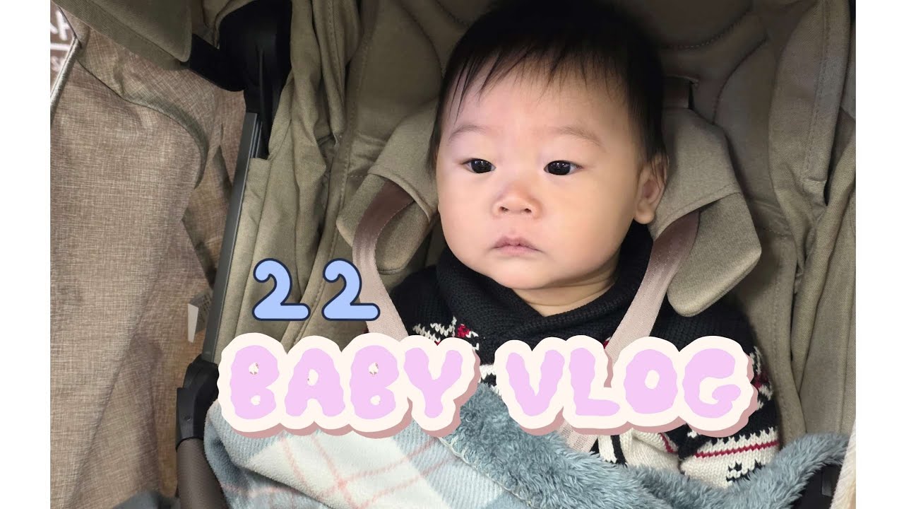 꿀비 독립 선언✨️/명절 인기 스타 꿀비🍯🐝/돌 사진 촬영👶🏻📸/