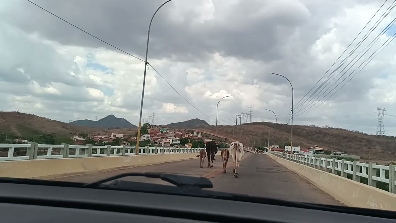 8 de fevereiro de 2026