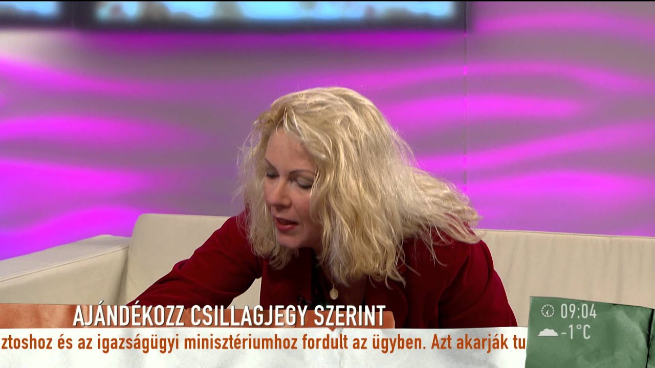 Tatár Kárásznak: ˝várom, hogy soha többet ne dolgozzak veled˝ - 2014.12.11 - tv2.hu/mokka
