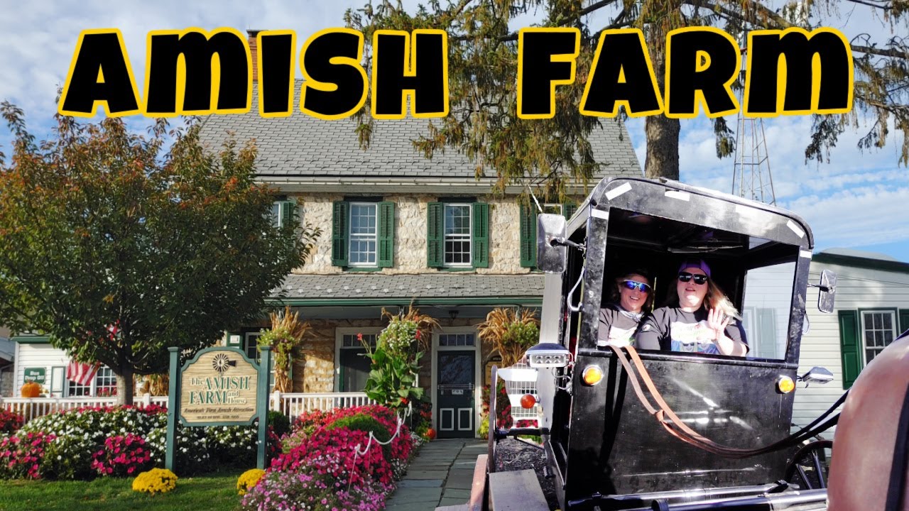 The Amish Farm
