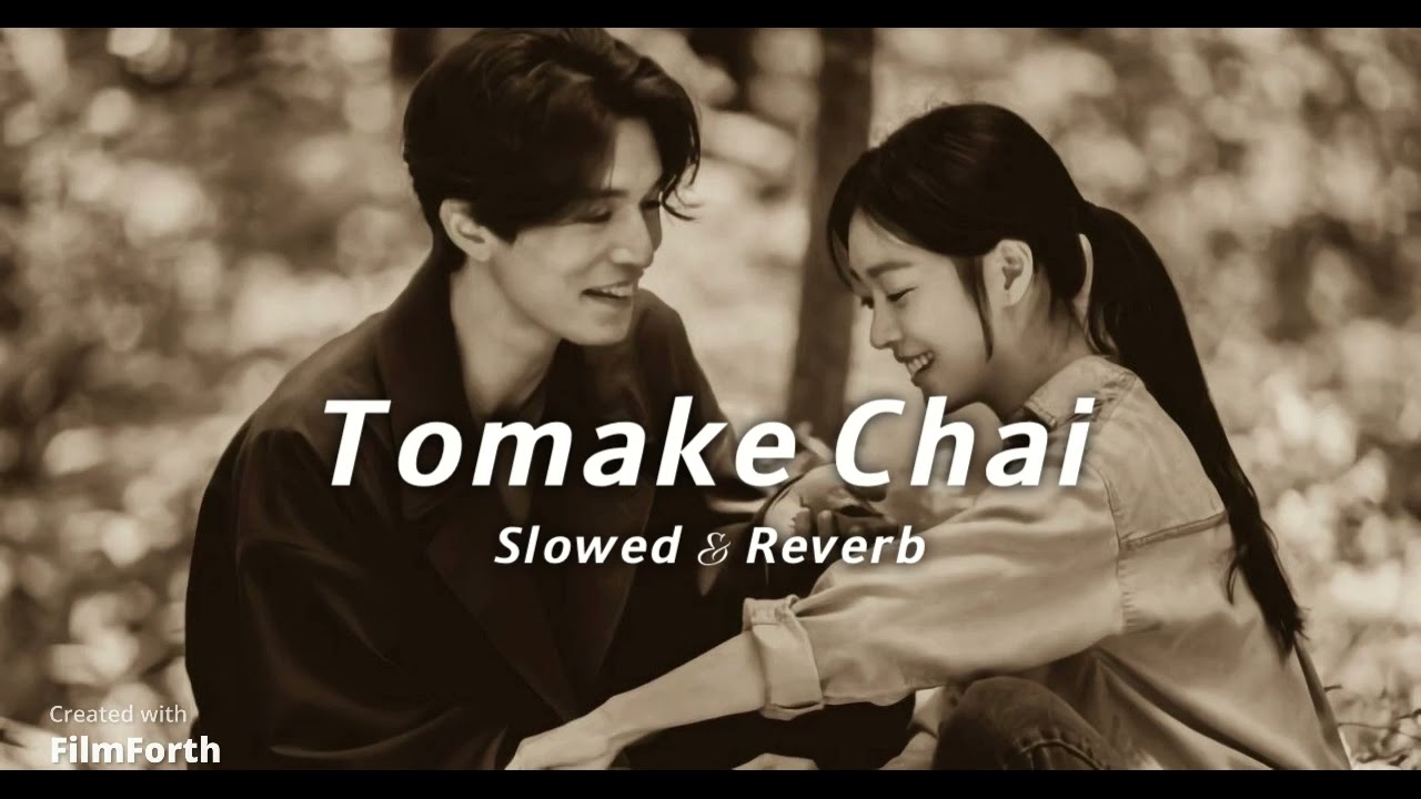Tomake Chai | (Slowed & Reverb) Gangster | Yash | Mimi | Arijit Singh | Birsa Dasgupta