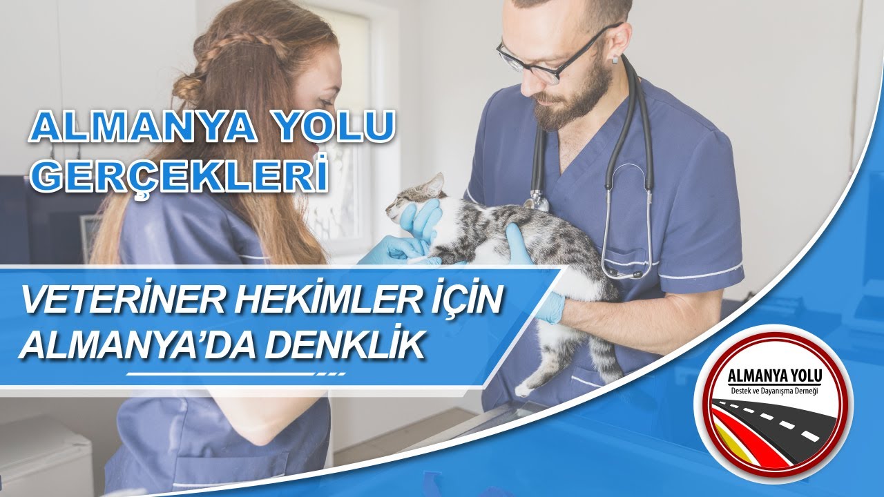 VETERİNER HEKİMLER İÇİN ALMANYA'DA DENKLİK | ALMANYA YOLU GERÇEKLERİ #DENKLİK
