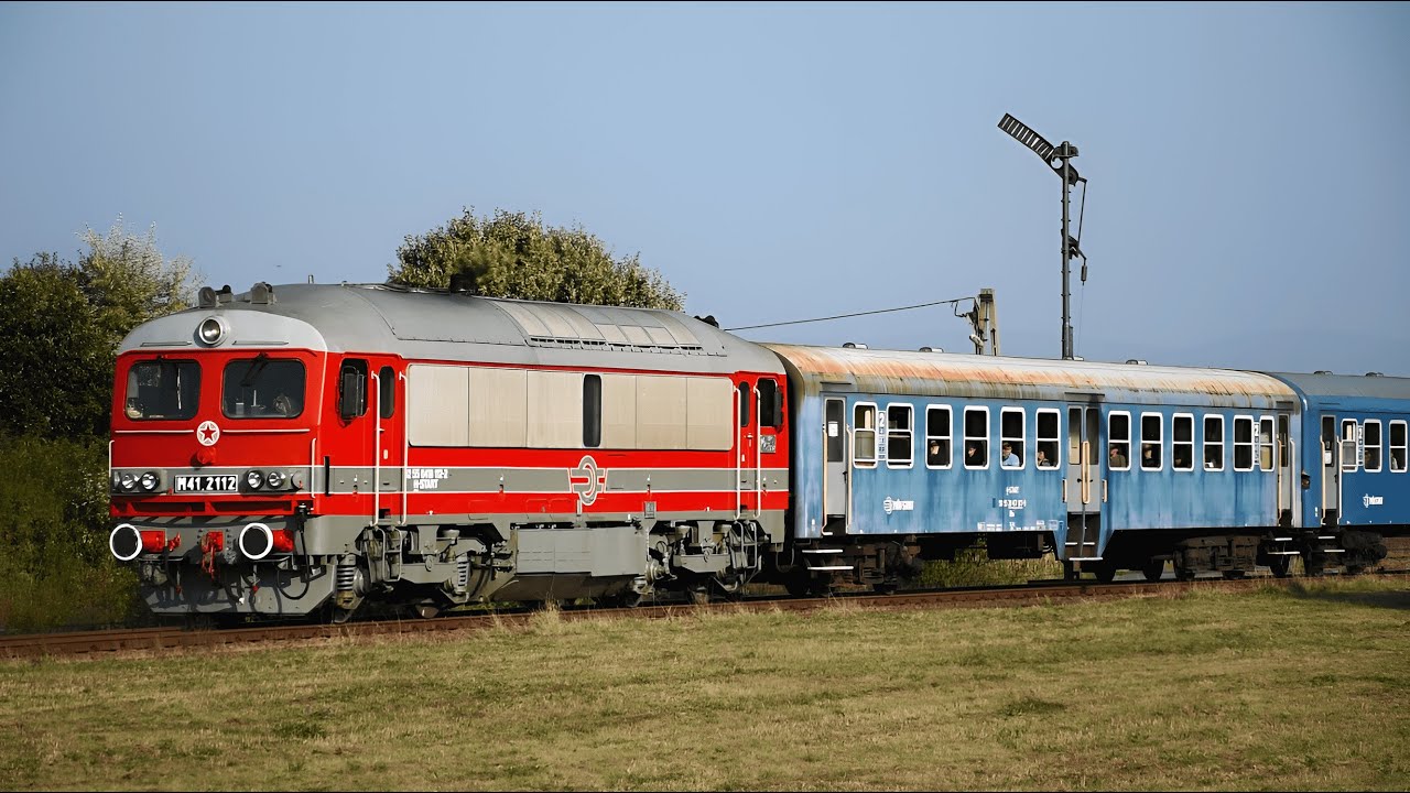 50 évesek a Csörgők - 