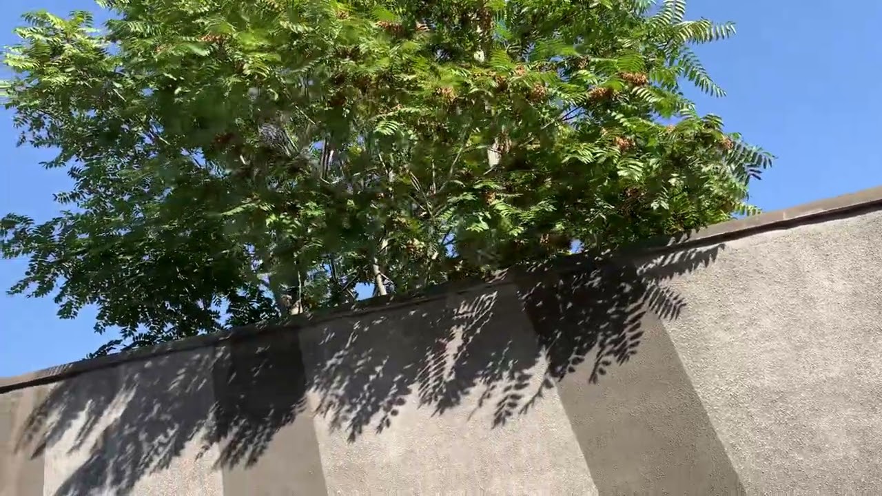 Khanjian- Heratsi Street Yerevan