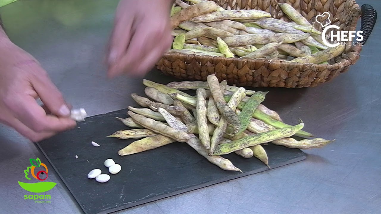 Les cocos de Paimpol