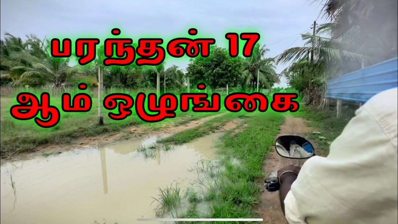 பரந்தன் 17 ஆம் ஒழுங்கை