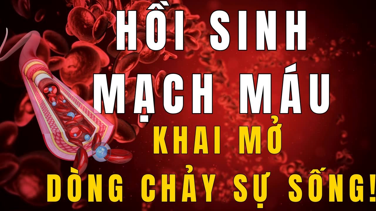 Hồi Sinh Mạch Máu – Khai Mở Dòng Chảy Sự Sống | Bí Mật Trẻ Khỏe Từ Bên Trong